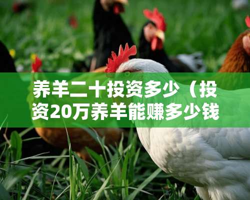 养羊二十投资多少（投资20万养羊能赚多少钱）