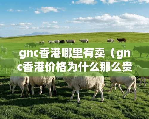 gnc香港哪里有卖（gnc香港价格为什么那么贵）