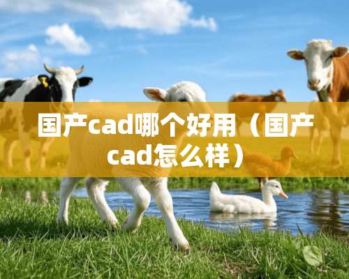 国产cad哪个好用（国产cad怎么样）