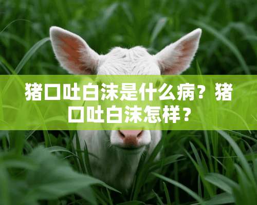 猪口吐白沫是什么病？猪口吐白沫怎样？