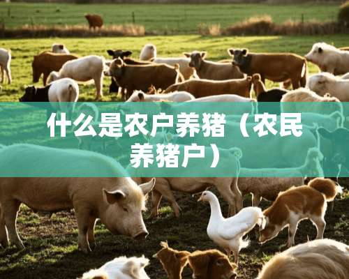 什么是农户养猪（农民养猪户）