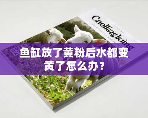 鱼缸放了黄粉后水都变黄了怎么办？