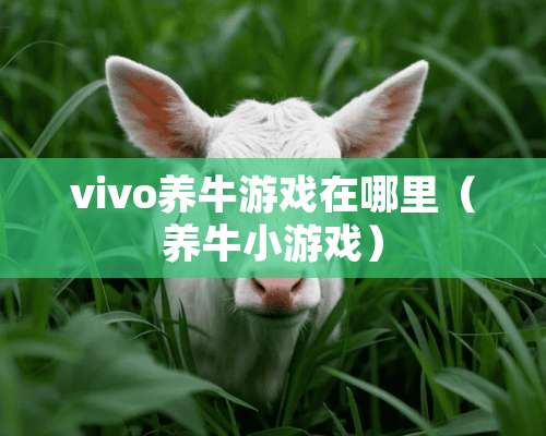 vivo养牛游戏在哪里（养牛小游戏）