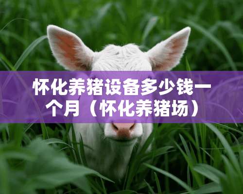 怀化养猪设备多少钱一个月（怀化养猪场）