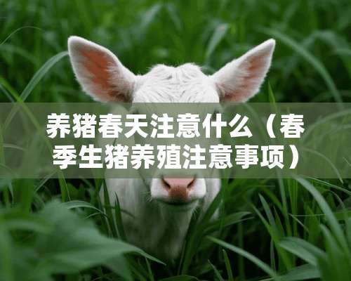 养猪春天注意什么（春季生猪养殖注意事项）