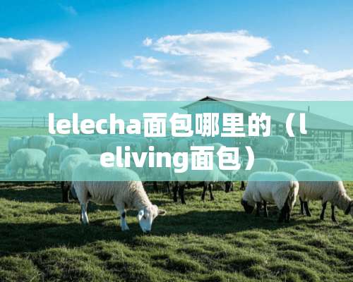 lelecha面包哪里的（leliving面包）