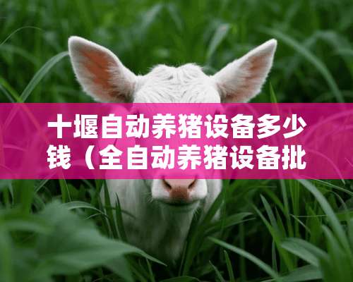 十堰自动养猪设备多少钱（全自动养猪设备批发）