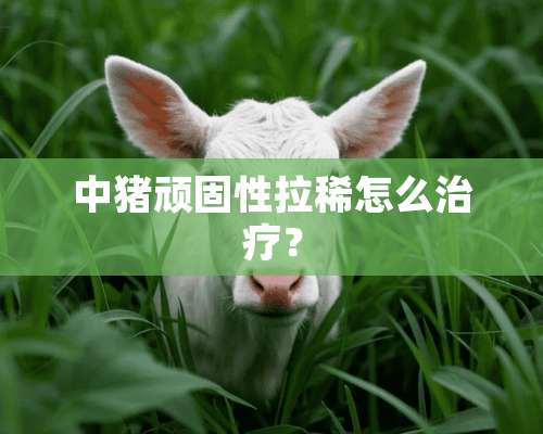 中猪顽固性拉稀怎么治疗？