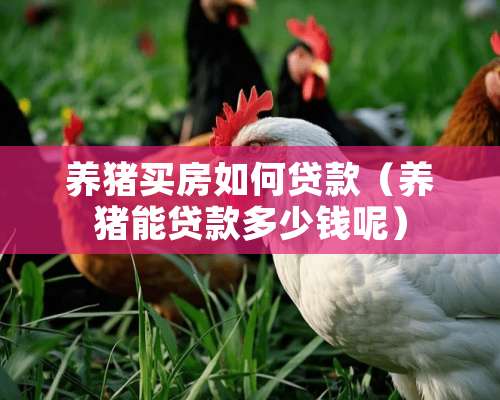 养猪买房如何贷款（养猪能贷款多少钱呢）