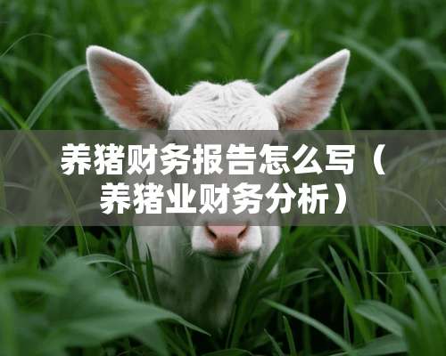 养猪财务报告怎么写（养猪业财务分析）