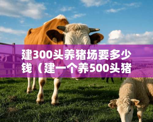 建300头养猪场要多少钱（建一个养500头猪场需要多少钱）