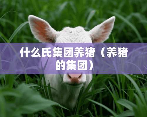 什么氏集团养猪（养猪的集团）