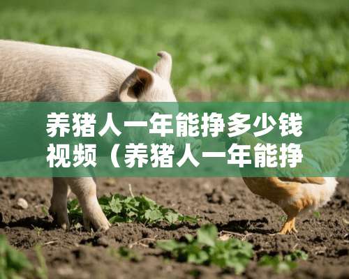 养猪人一年能挣多少钱视频（养猪人一年能挣多少钱视频讲解）