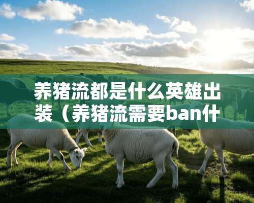 养猪流都是什么英雄出装（养猪流需要ban什么英雄）