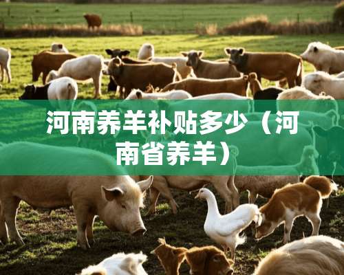 河南养羊补贴多少（河南省养羊）