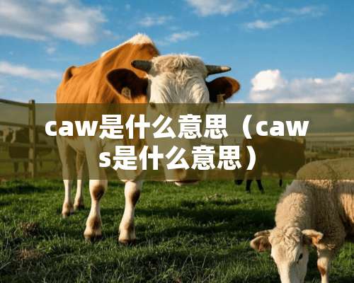 caw是什么意思（caws是什么意思）