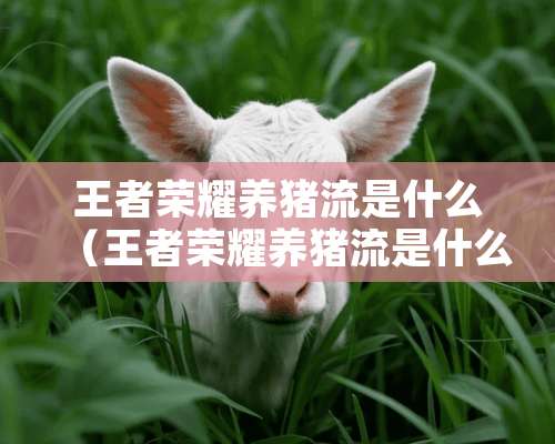 王者荣耀养猪流是什么（王者荣耀养猪流是什么英雄）