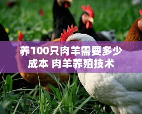 养100只肉羊需要多少成本 肉羊养殖技术