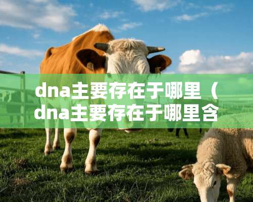 dna主要存在于哪里（dna主要存在于哪里含有的碱基为）