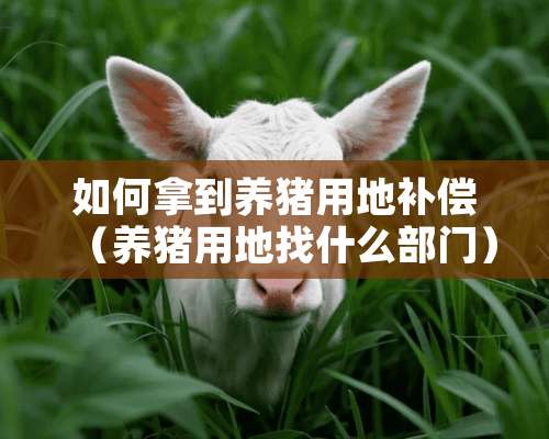 如何拿到养猪用地补偿（养猪用地找什么部门）