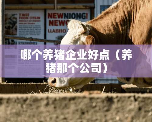 哪个养猪企业好点（养猪那个公司）