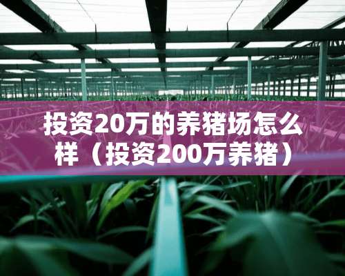 投资20万的养猪场怎么样（投资200万养猪）