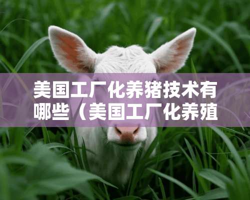 美国工厂化养猪技术有哪些（美国工厂化养殖猪）