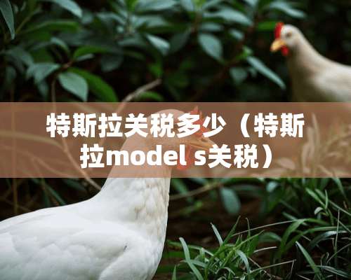 特斯拉关税多少（特斯拉model s关税）