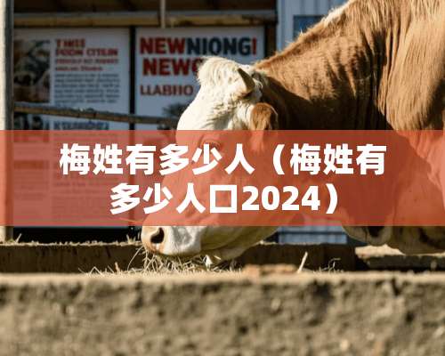 梅姓有多少人（梅姓有多少人口2024）