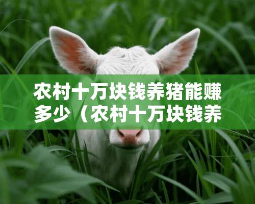 农村十万块钱养猪能赚多少（农村十万块钱养猪能赚多少钱）