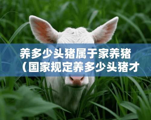 养多少头猪属于家养猪（国家规定养多少头猪才有补助）