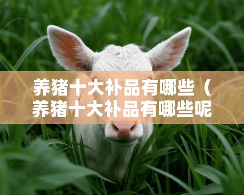 养猪十大补品有哪些（养猪十大补品有哪些呢）