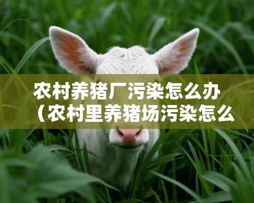 农村养猪厂污染怎么办（农村里养猪场污染怎么举报）