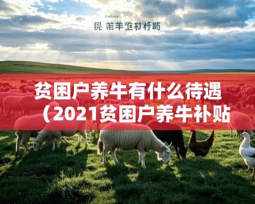 贫困户养牛有什么待遇（2021贫困户养牛补贴及政策）