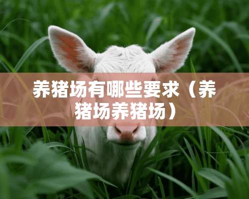 养猪场有哪些要求（养猪场养猪场）