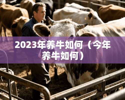 2023年养牛如何（今年养牛如何）