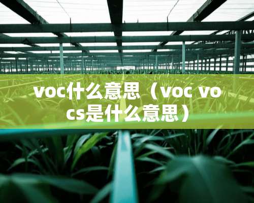 voc什么意思（voc vocs是什么意思）