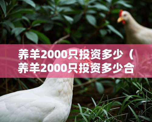 养羊2000只投资多少（养羊2000只投资多少合适）