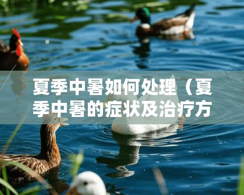 夏季中暑如何处理（夏季中暑的症状及治疗方法）