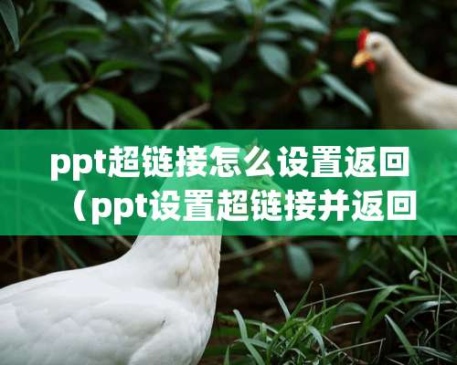 ppt超链接怎么设置返回（ppt设置超链接并返回原ppt页面）