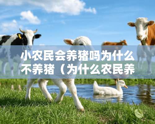 小农民会养猪吗为什么不养猪（为什么农民养猪挣不到钱）