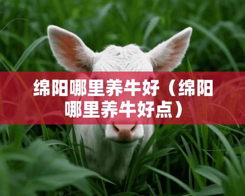 绵阳哪里养牛好（绵阳哪里养牛好点）