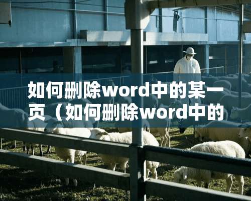 如何删除word中的某一页（如何删除word中的某一页表格）