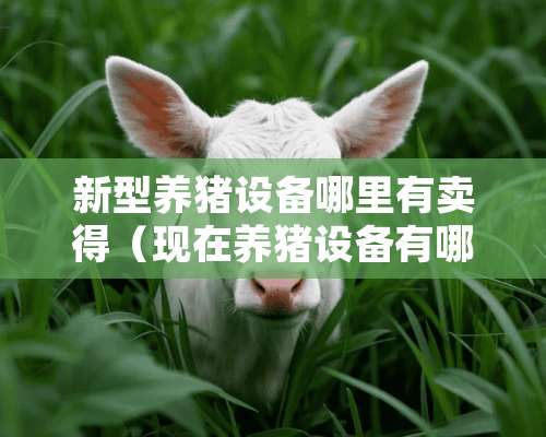 新型养猪设备哪里有卖得（现在养猪设备有哪些推荐呢?）