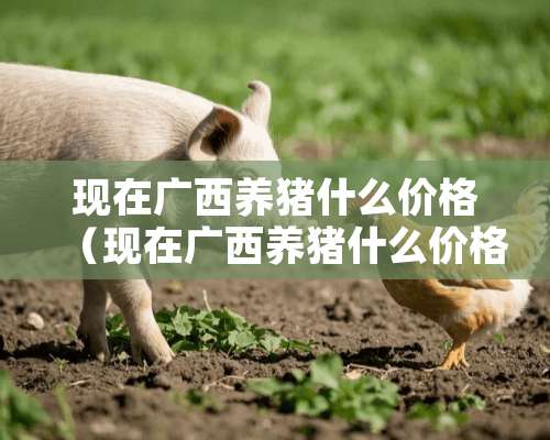 现在广西养猪什么价格（现在广西养猪什么价格最便宜）