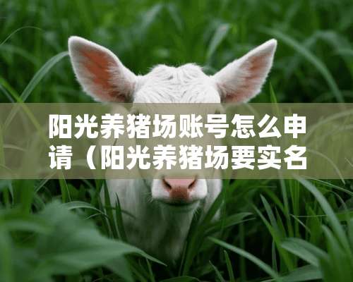 阳光养猪场账号怎么申请（阳光养猪场要实名认证安全吗）