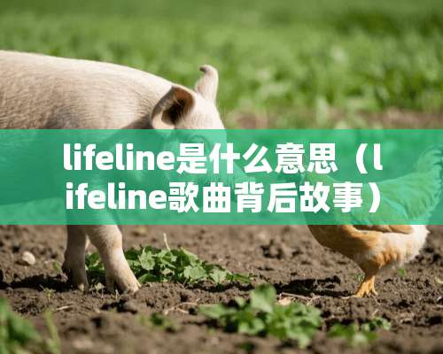 lifeline是什么意思（lifeline歌曲背后故事）