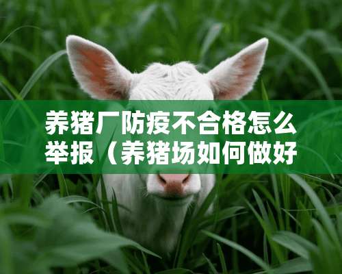 养猪厂防疫不合格怎么举报（养猪场如何做好防疫工作）