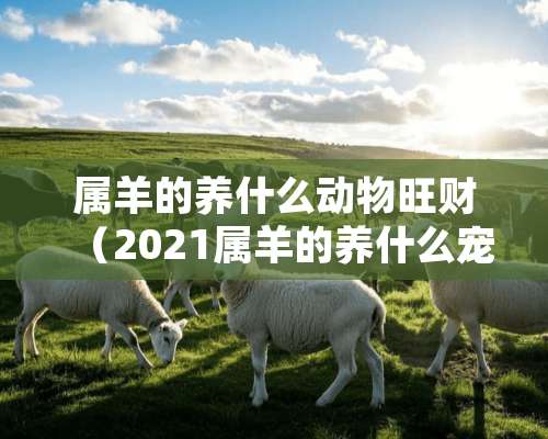 属羊的养什么动物旺财（2021属羊的养什么宠物最好）