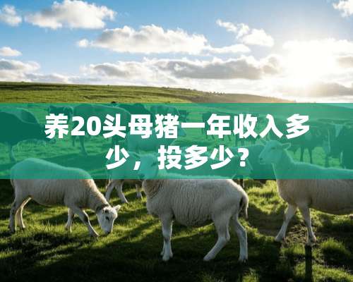 养20头母猪一年收入多少，投多少？